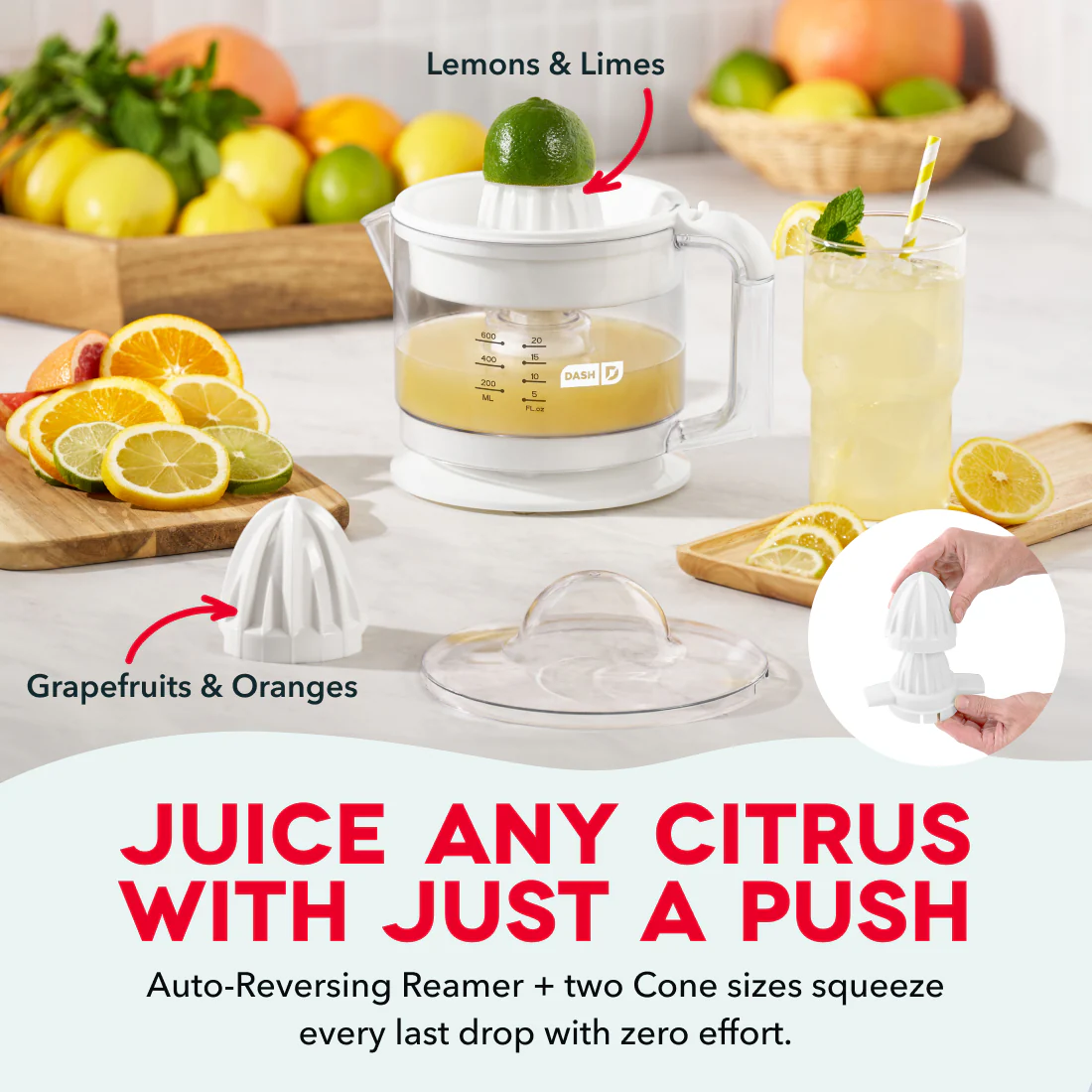 Dual Citrus Juicer - Image 12