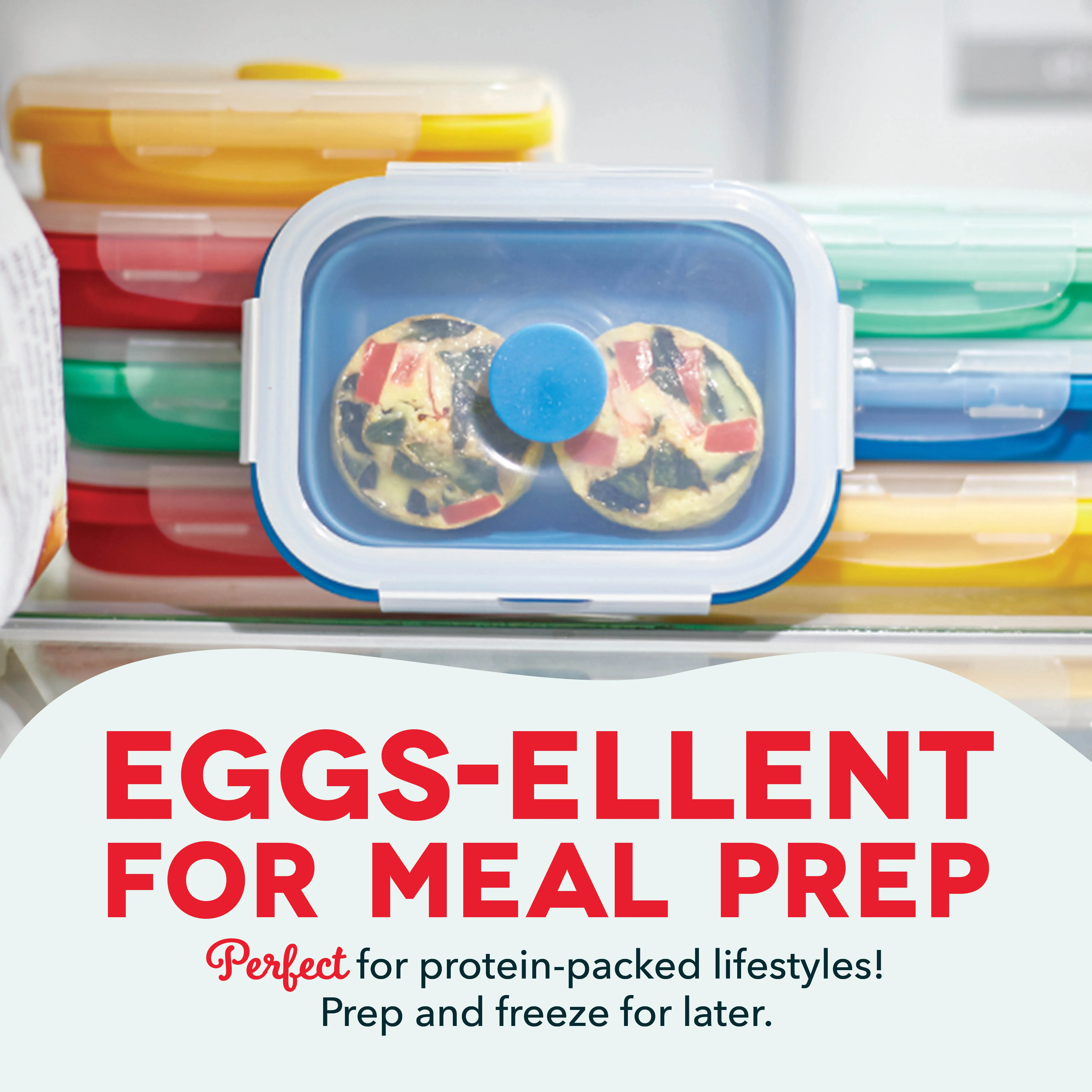 Egg Bite Maker - Image 9