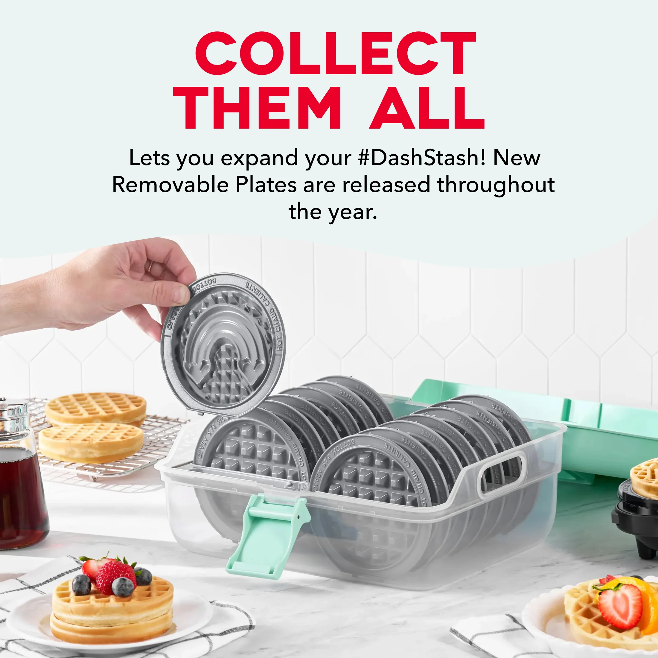MultiMaker® Mini System: Removable Plate Storage Case - Image 9